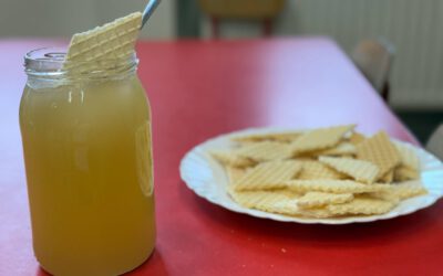 Dzień Pszczół i majowe urodziny